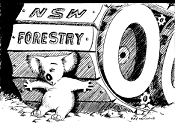 Picture courtesy of Friends of PineCreek